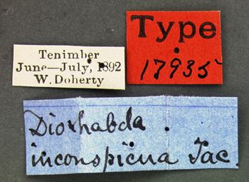 Media type: image; Entomology 17935   Aspect: labels